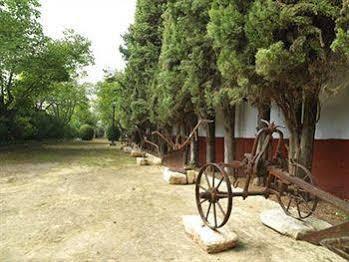 Hacienda La Vereda Montilla Exteriör bild